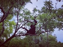 -普洱太阳河森林公园