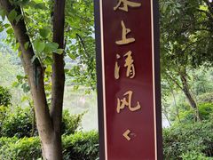-桃花岭景区