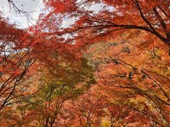 -比叡山