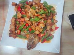 -煲来饱去冷水鱼