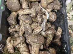 -双喜农庄·菌香园(安居家园店)