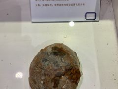 -中国第四纪冰川遗迹陈列馆