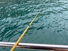 -小猫钓鱼海钓俱乐部(椰梦长廊店)