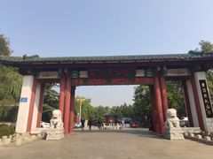 -百脉泉景区