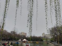 -莲湖公园