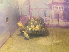-上海大自然野生昆虫馆