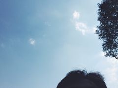 -北京张裕爱斐堡酒庄