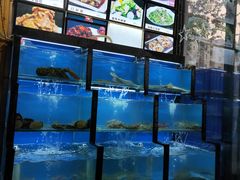 水产区-老东镇啤酒屋海鲜加工·蒸汽海鲜·海鲜烧烤(台东店)