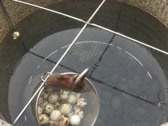 -凤翔首邑温泉度假村