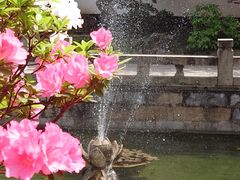 -上海醉白池公园