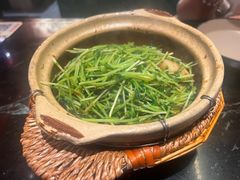 川香焗豆苗-廖川菜(太阳宫店)