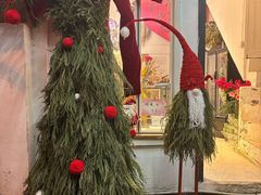 -溪岸路花鸟市场