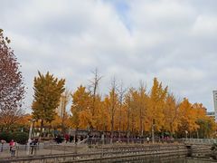 -西清公园