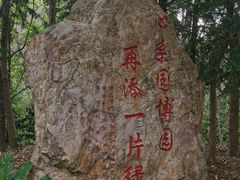 -深圳国际园林花卉博览园