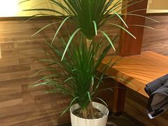 -西贝(六里桥旗舰店)