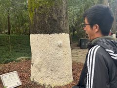 -灵顺寺