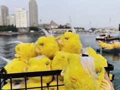 -大连圣亚海洋世界