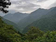 -陕西省红河谷森林公园