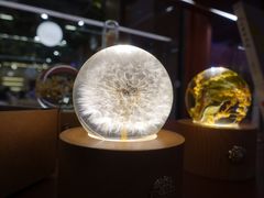 -二酉书店TOYOU BOOKS