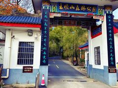 -王顺山国家森林公园