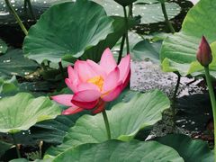 -长春市南湖公园