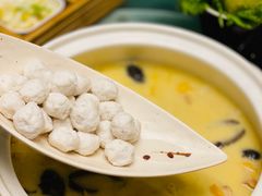 -金龙·打边炉(南京西路店)