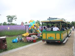 -同里国家湿地公园