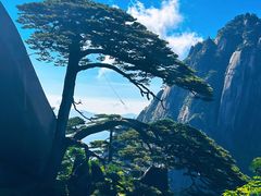 -黄山风景区