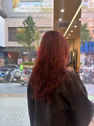 -东方麒麟·潘多拉SALON