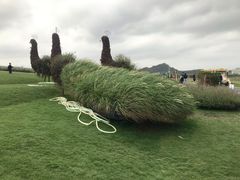 -光明小镇欢乐田园
