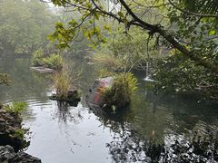 -海口火山口国家地质公园