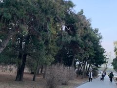 -北陵公园