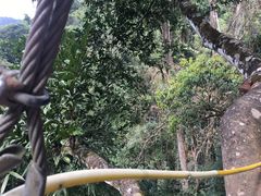 -清迈丛林飞跃 JungleFlight