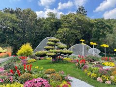 -上海共青森林公园