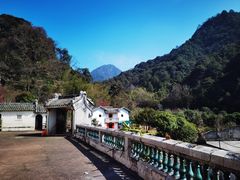 -雁南飞茶田景区