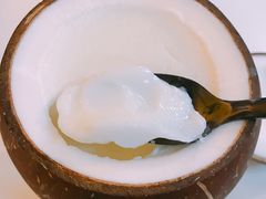 -志龙皇冠吃货椰子铺