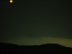 -三亚亚龙湾人间天堂鸟巢度假村