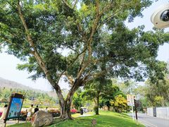 -三亚南山文化旅游区