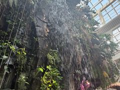 -正佳雨林生态植物园