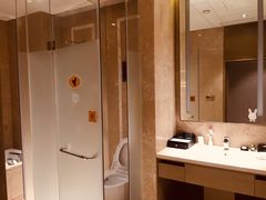 -圣爵菲斯大酒店(长沙世界之窗店)