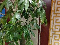 -惠丰堂饭庄·烤鸭·京味菜(西北旺·唐家岭店)