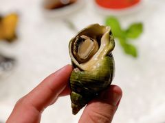 法国海螺-Oyster Talks 四度蚝法餐厅