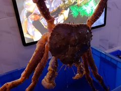 -蟹之国·精品蟹料理(极地店)