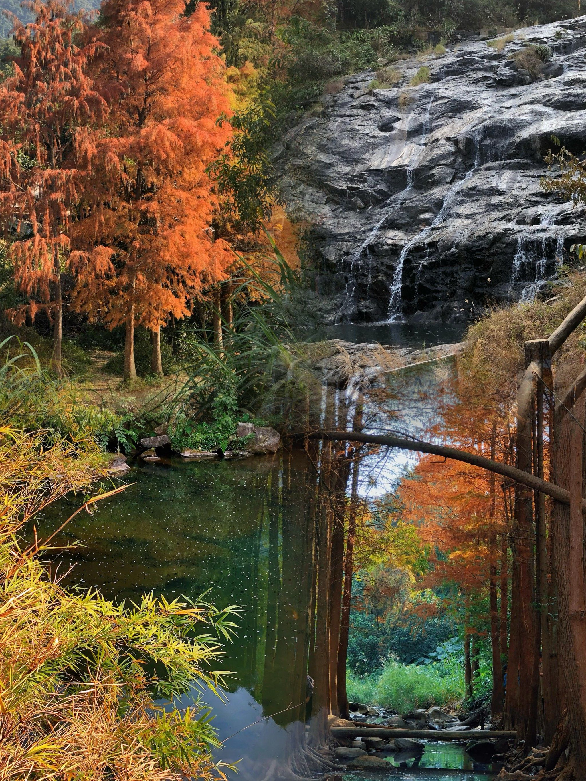 🌳马峦山郊野公园