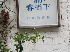 -春树下·树屋花房西餐厅(罍街AS1980店)