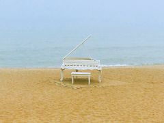 -阳光海岸露营公园