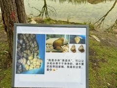 -渤公岛生态公园