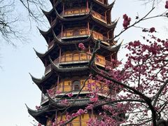-红梅公园
