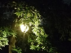 -江墅铁路遗址公园