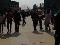 -秀丽东方